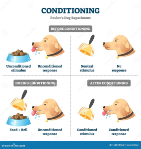 illustration of conditioning with Pavlov's dog