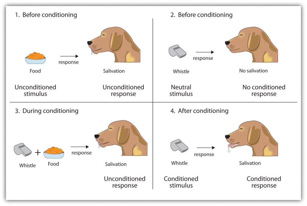 3-1-behaviorist-theories-of-learning-foundations-of-educational