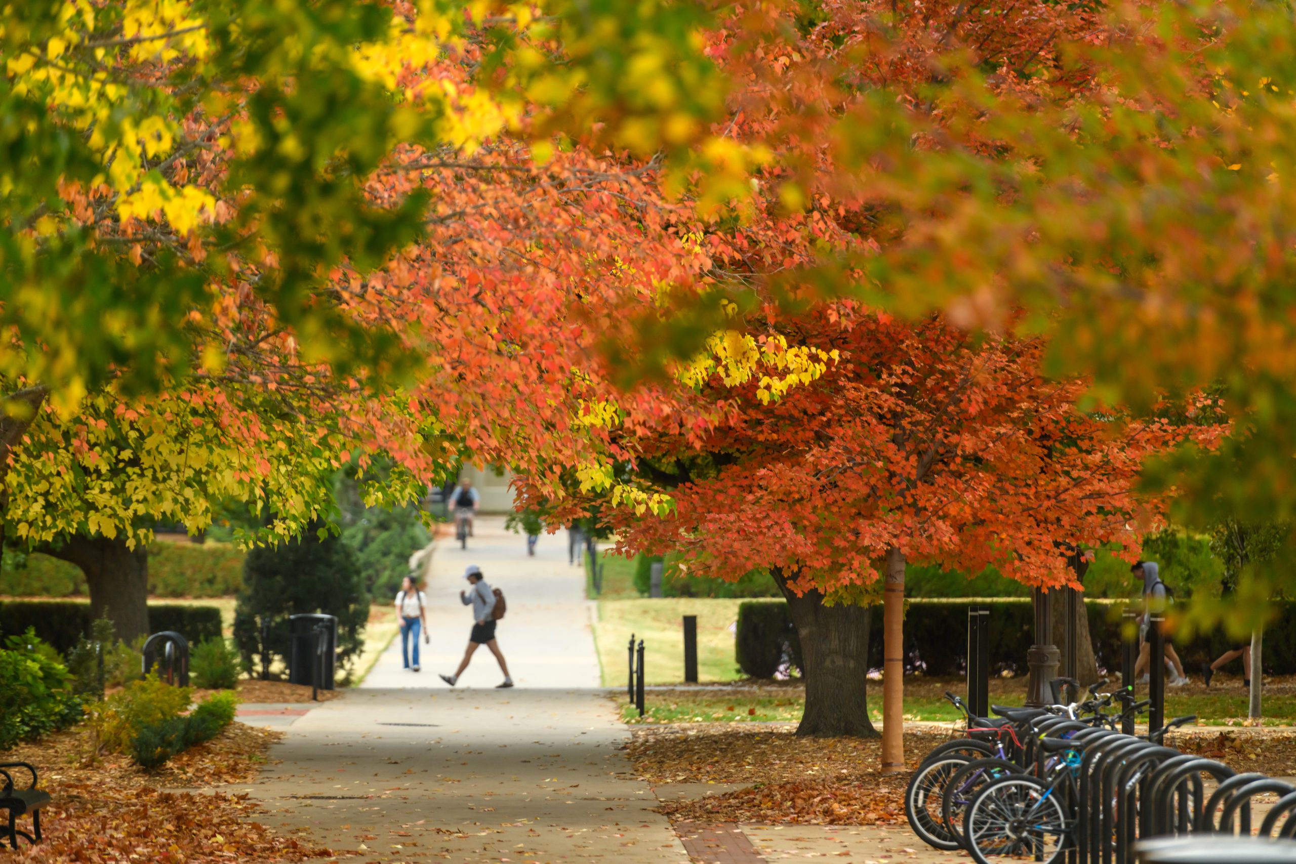 Decorative image of OSU's Stillwater campus in the fall