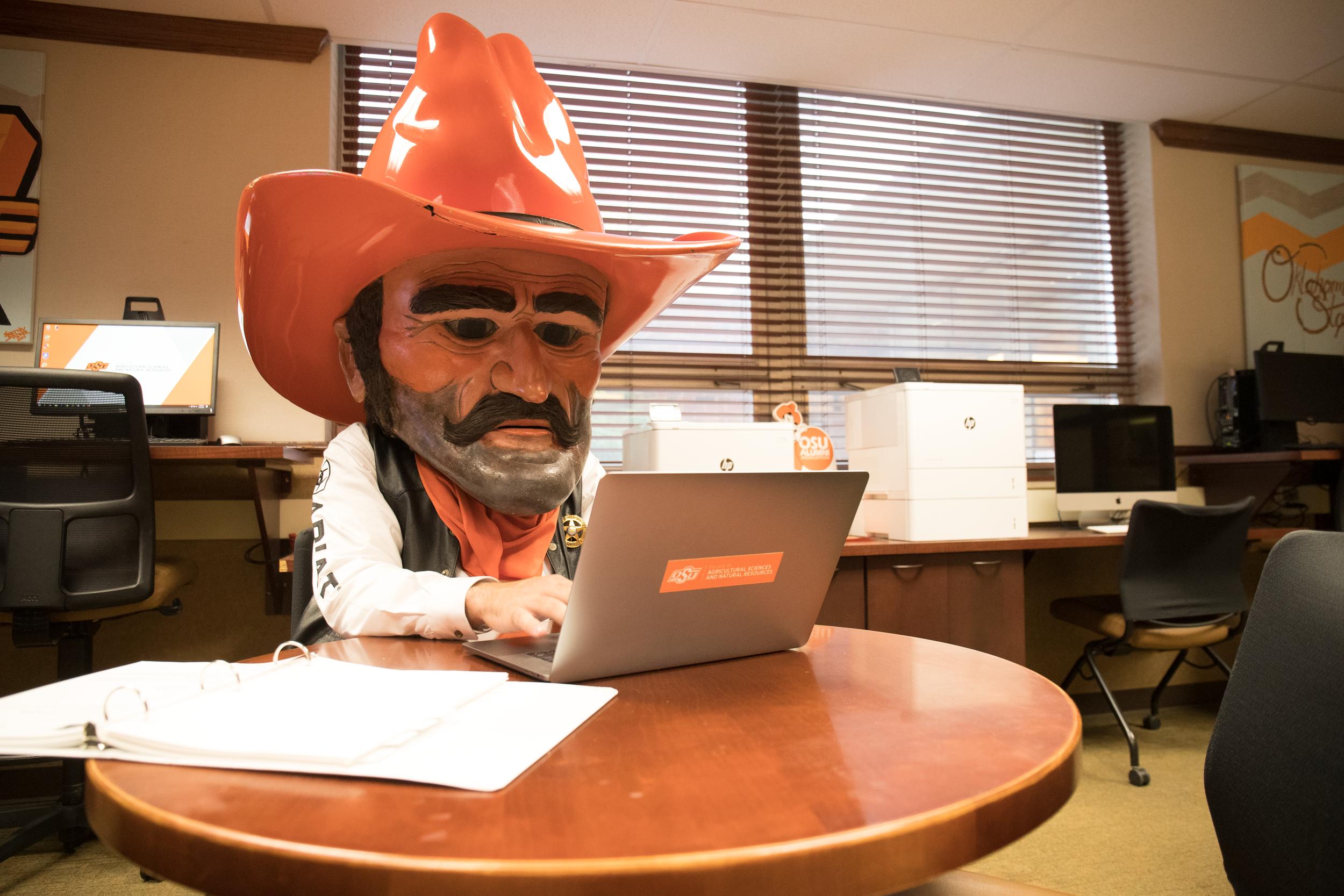 Pistol Pete works on a laptop computer in an office.