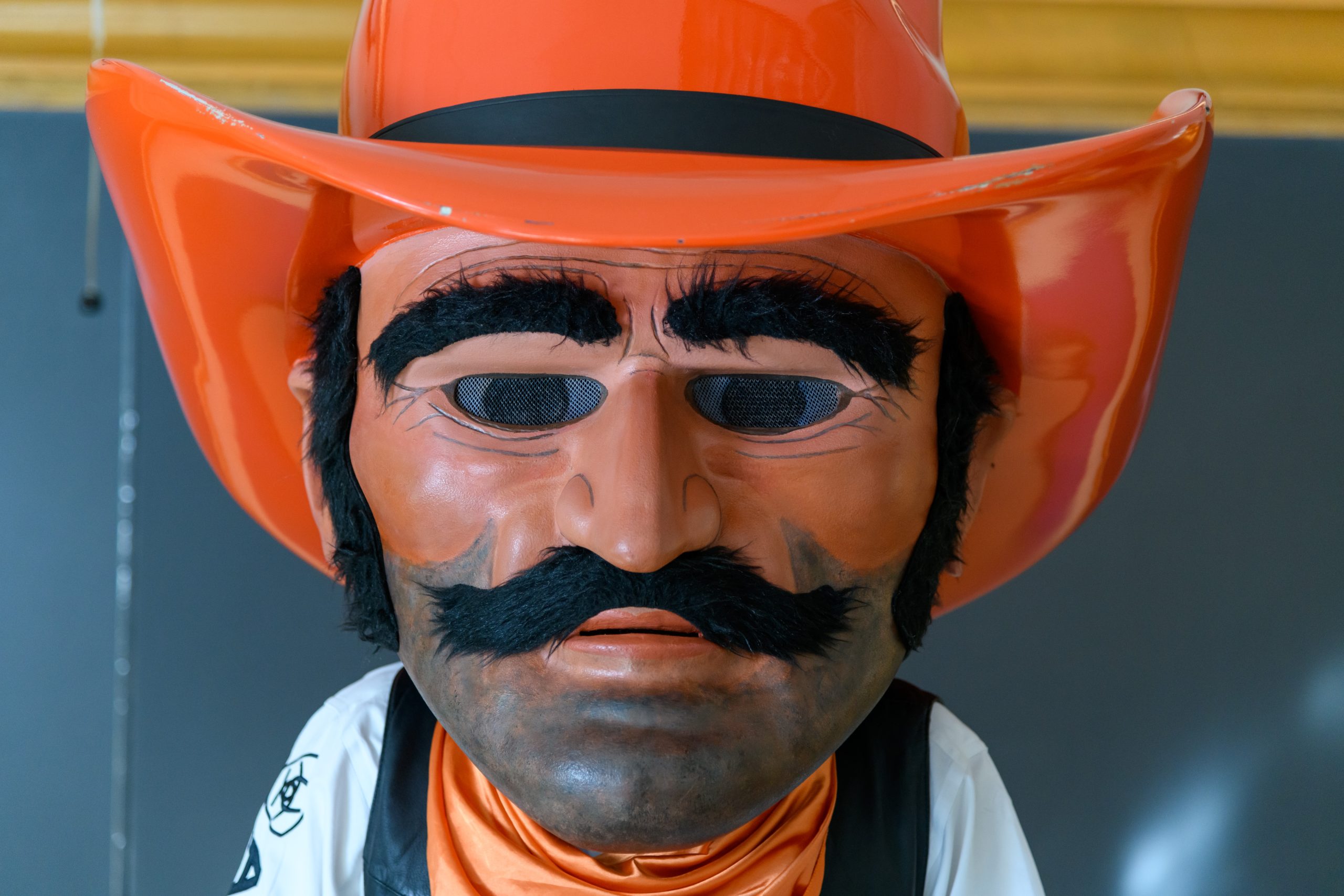 A close up picture of Pistol Pete's face