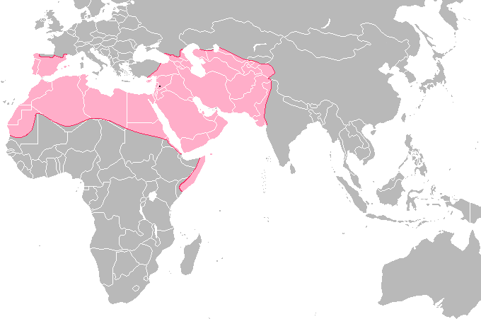 A map of Asia, Africa, and Australia that highlights the regions of Spain, North Africa and the Middle East to show the extent of the Umayyad Caliphate in 750 CE