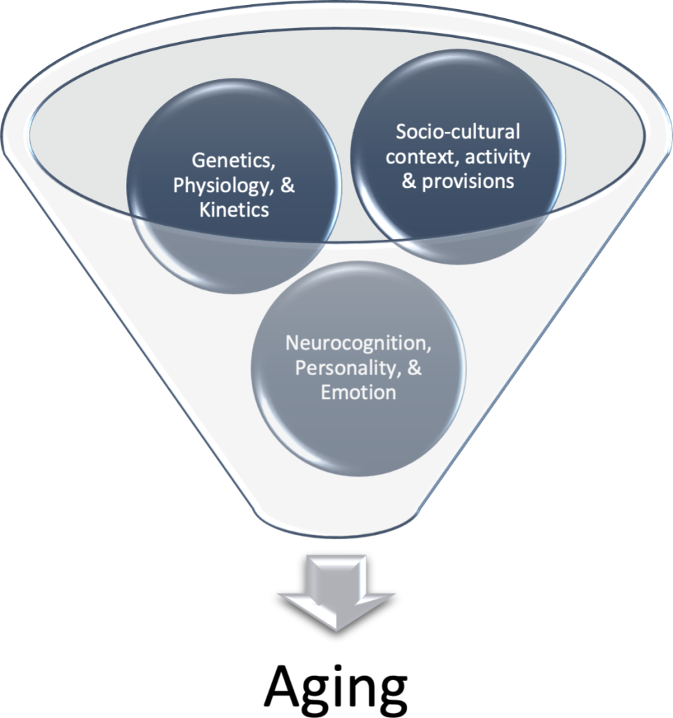 A diagram of the factors that contribute to aging.