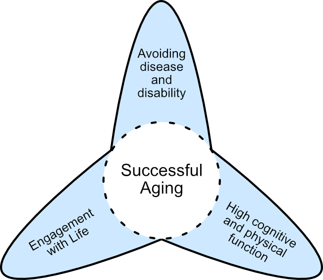 Diagram showing Rowe and Kahn's Model of Successful Aging.