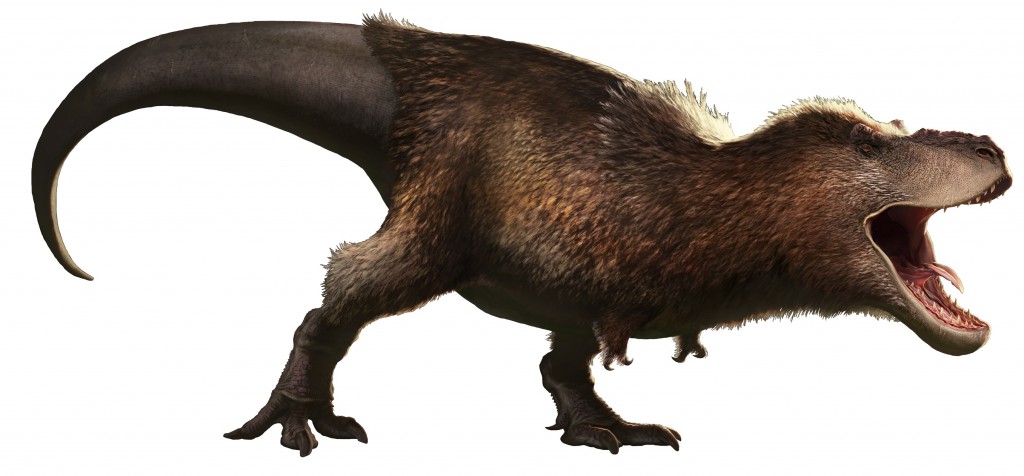 A roaring T-rex covered in feathers. The tail is oddly bare as are the feet making the dinosaur appear much more bird-like.