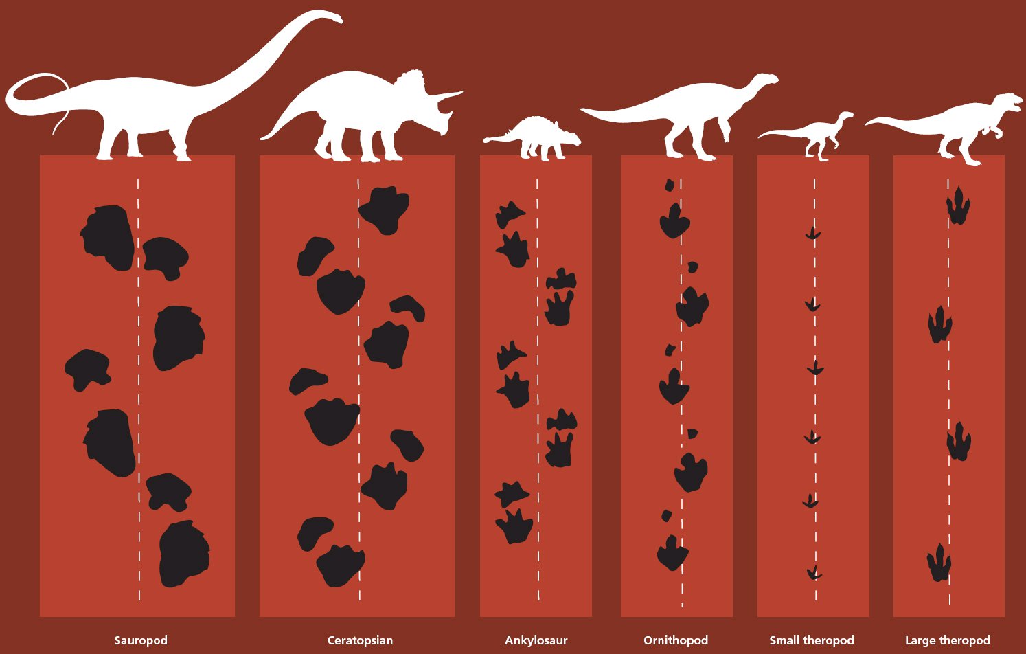 You Might Be Able to Outrun a T. Rex