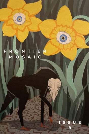 Cover image for Frontier Mosaic