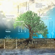 10. Evaporation and Wind Erosion – Rain or Shine