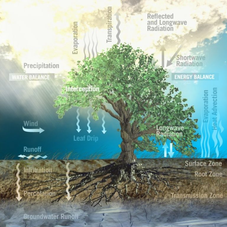 10. Evaporation and Wind Erosion Rain or Shine