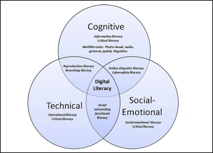 Data visualization literacy: Definitions, conceptual frameworks