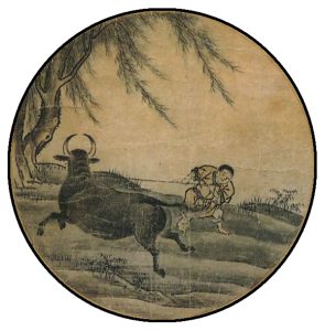 Catching the Ox