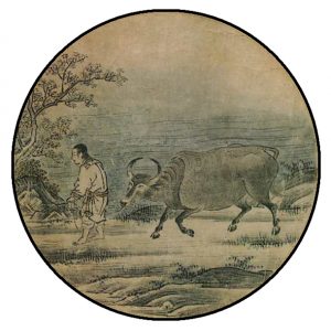 Herding the Ox