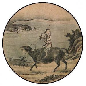 Coming Home on the Ox's Back